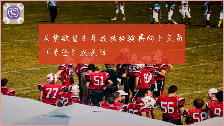 灰熊欲借去年成功经验再向上交易16号签引发关注