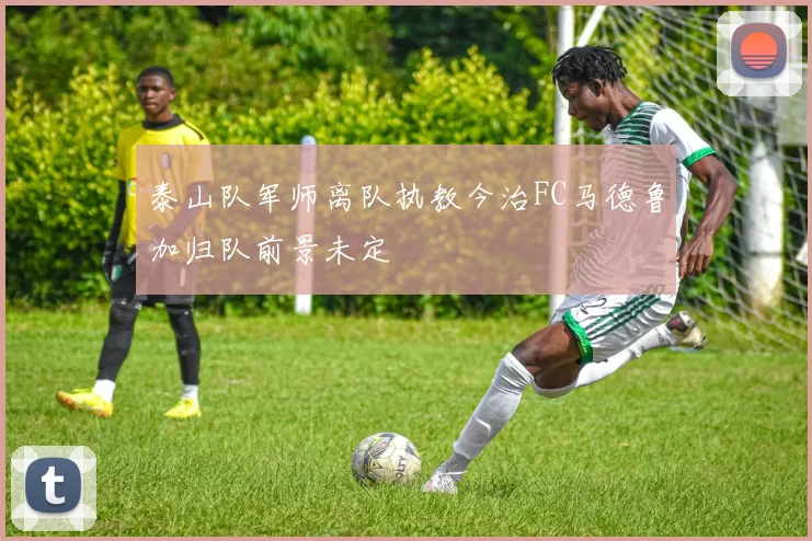泰山队军师离队执教今治FC马德鲁加归队前景未定