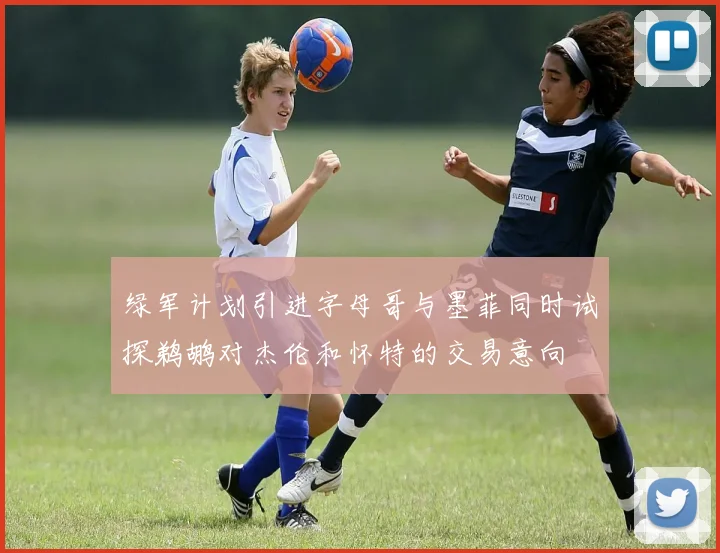 绿军计划引进字母哥与墨菲同时试探鹈鹕对杰伦和怀特的交易意向